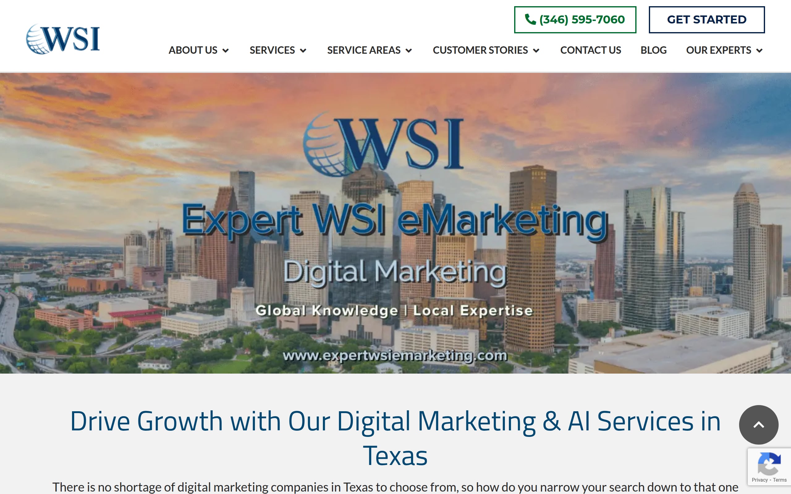 Expert WSI eMarketing (WSI) Screenshot