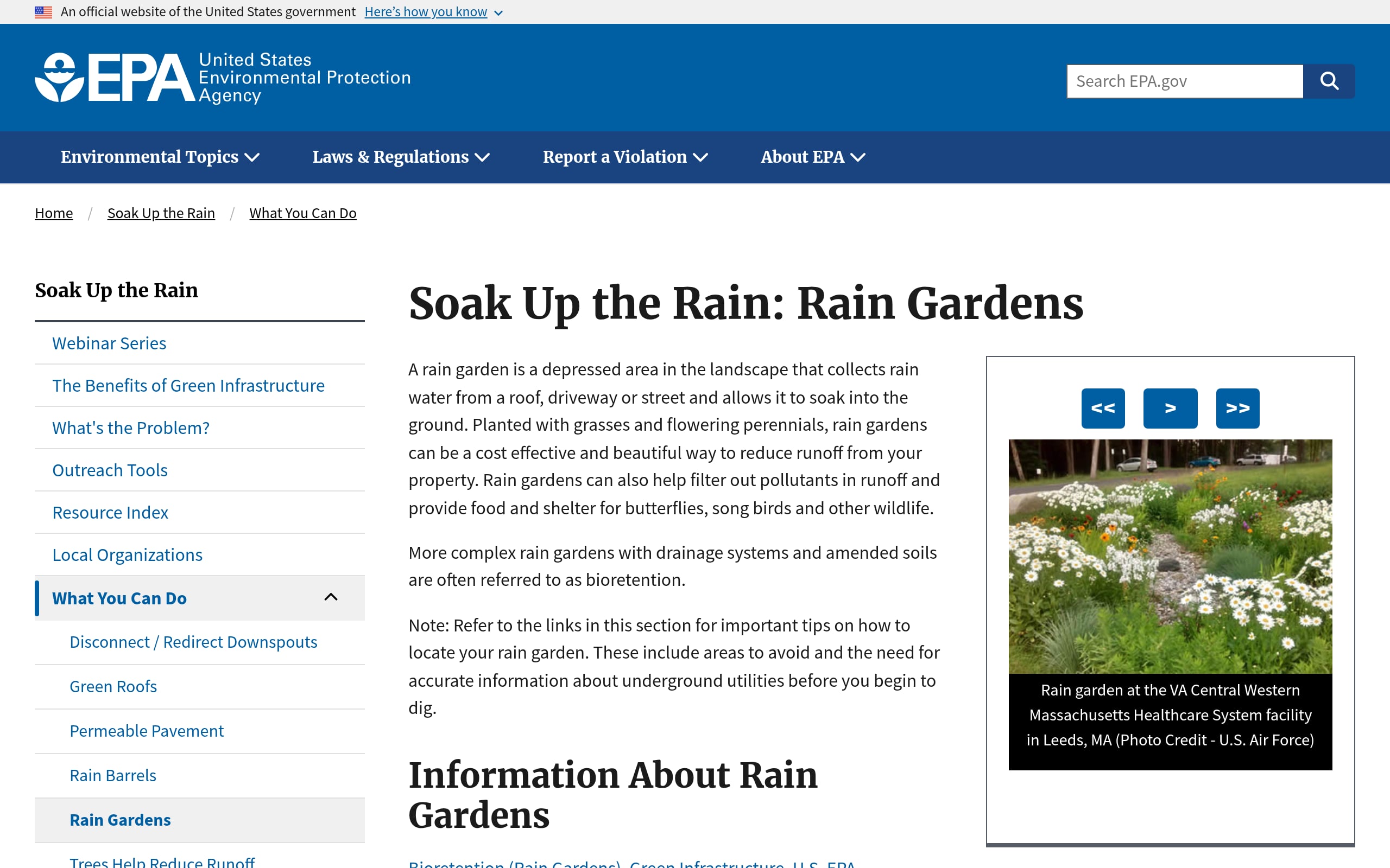 Protect Local Waterways by Cutting Down on Polluted Runoff Screenshot