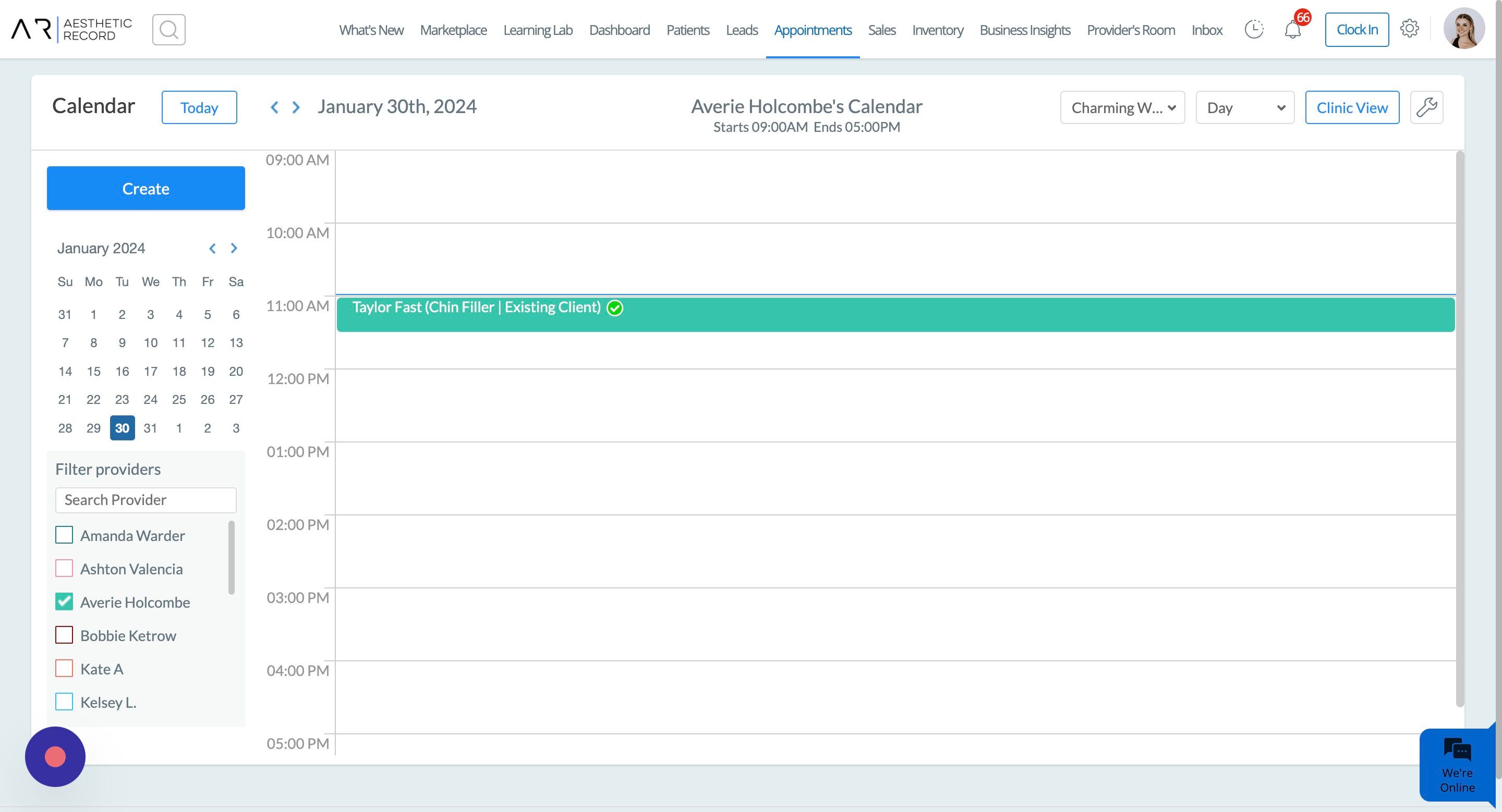 Aesthetic Record Screenshot