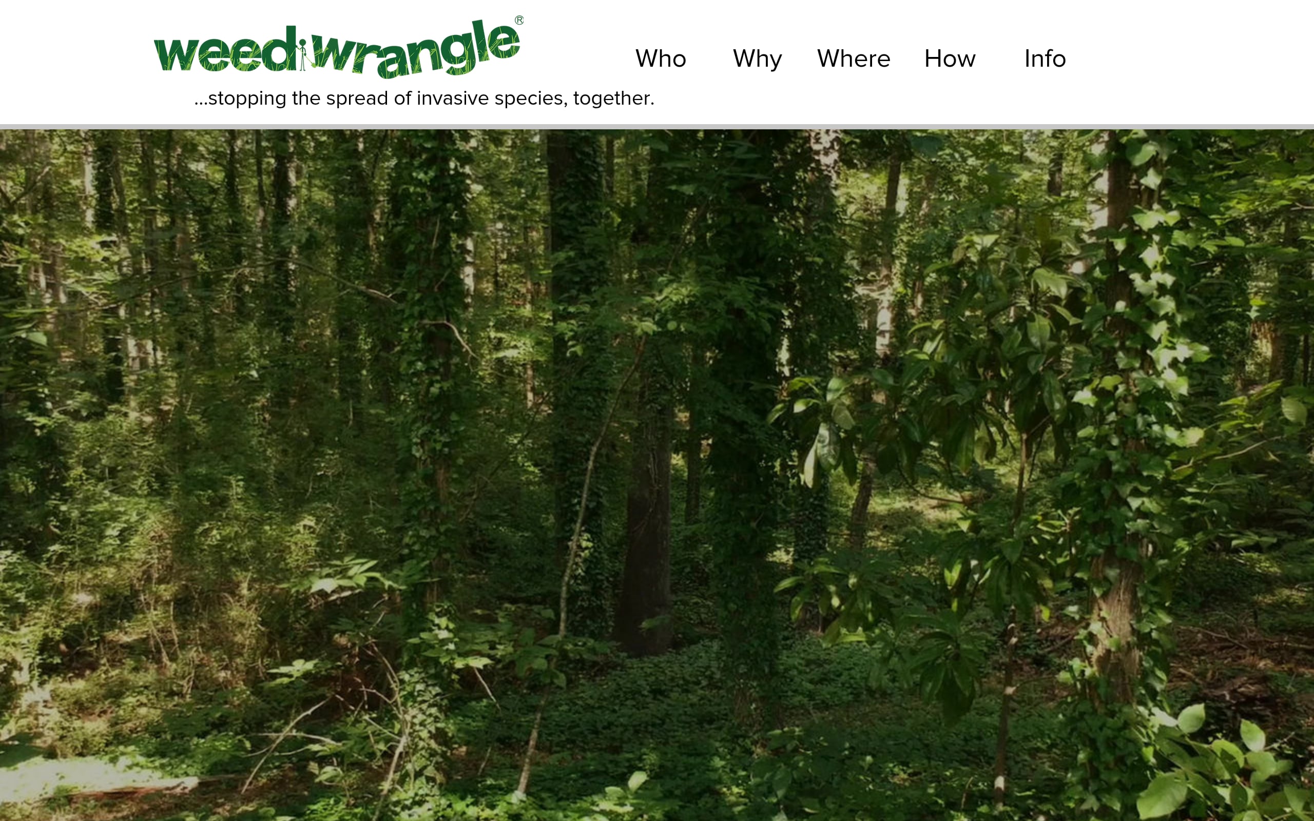 Harvest The Rain Screenshot