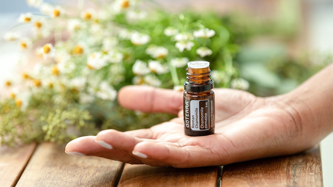 Roman Chamomile Essential Oil Screenshot