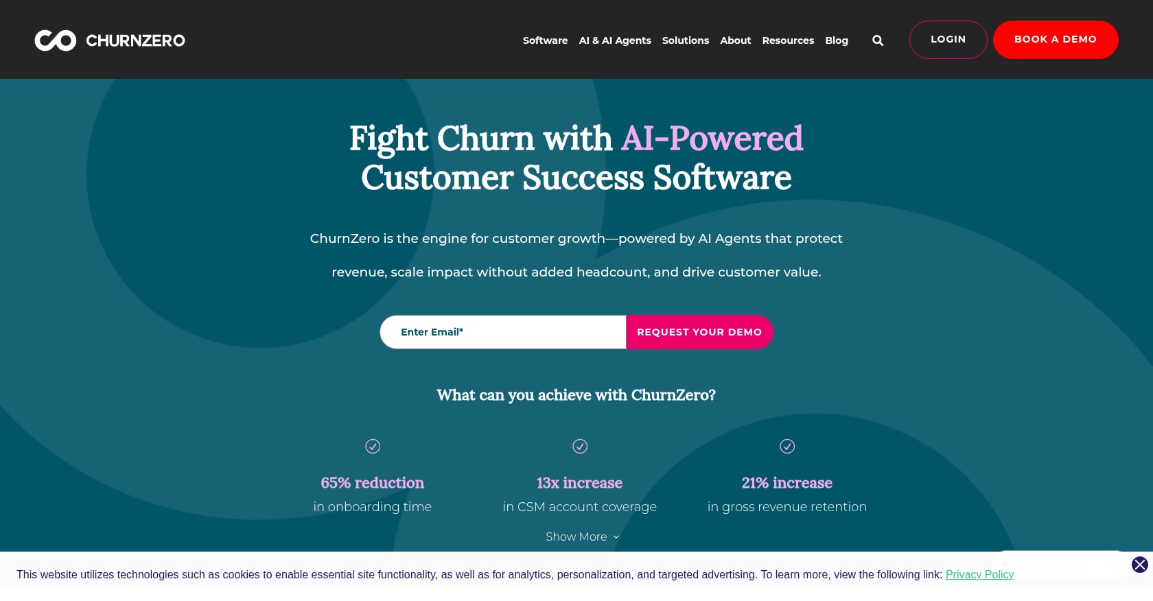 ChurnZero Screenshot