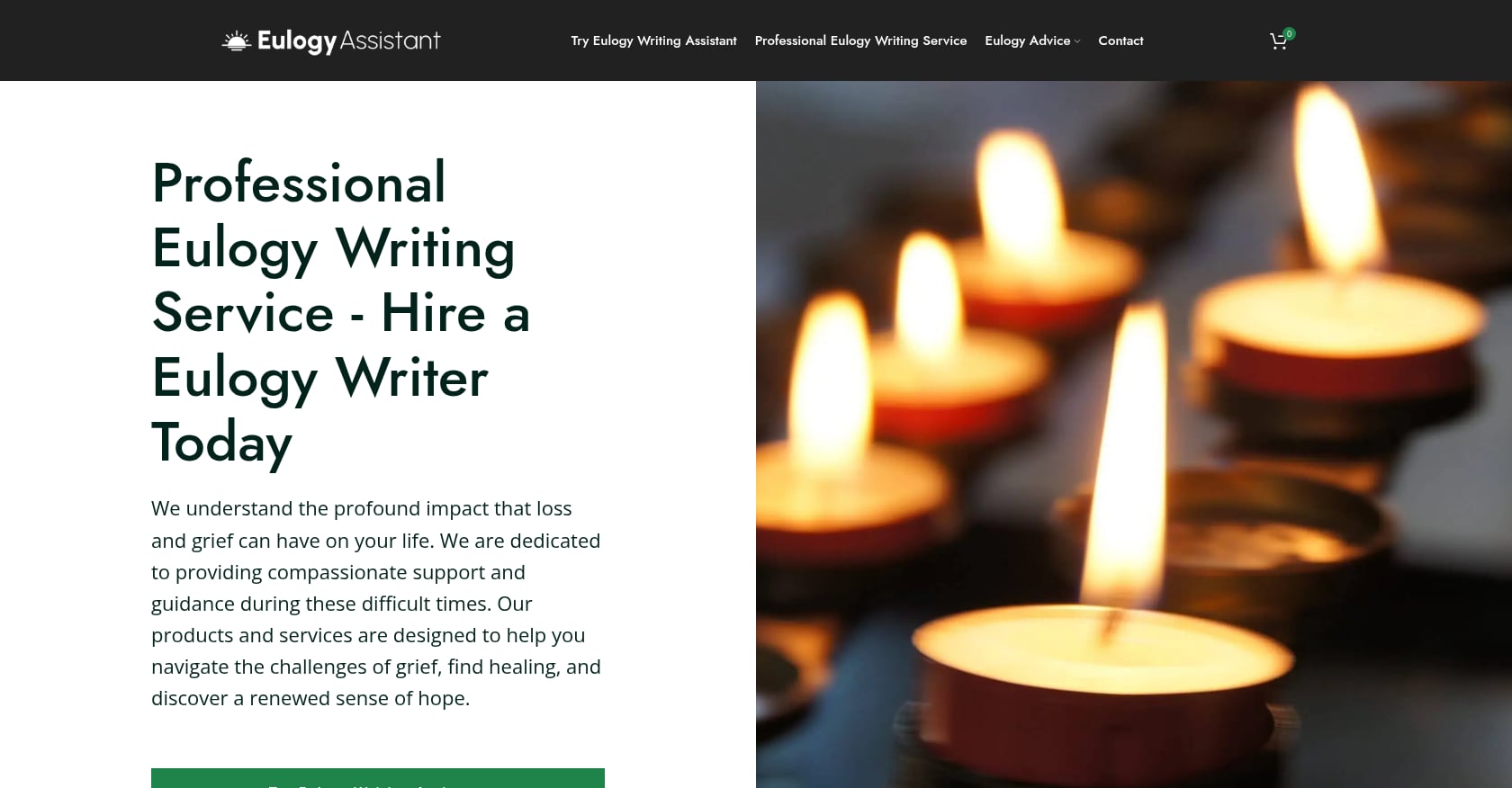 When to Hire a Professional Writer Screenshot