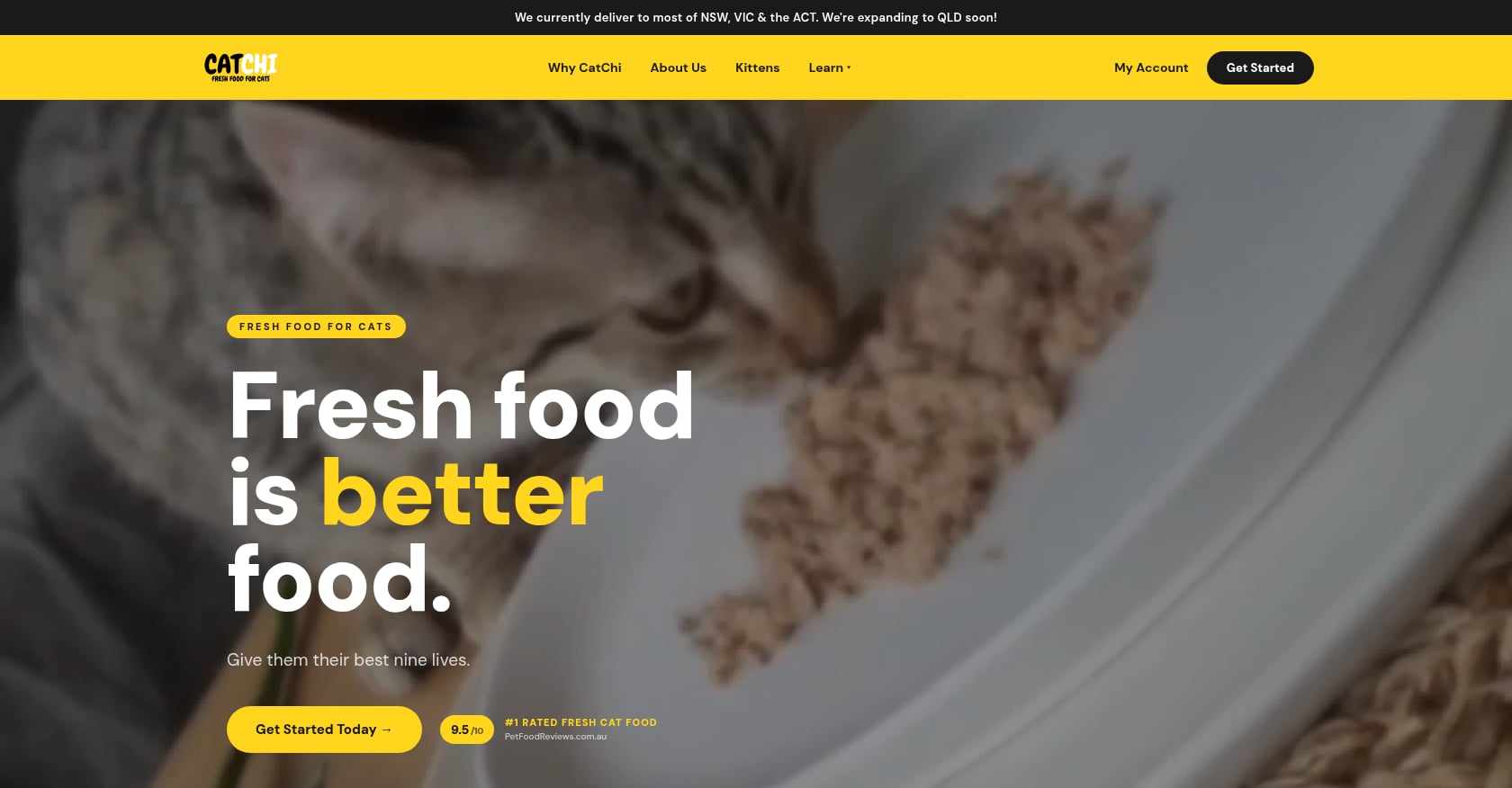 CatChi Screenshot