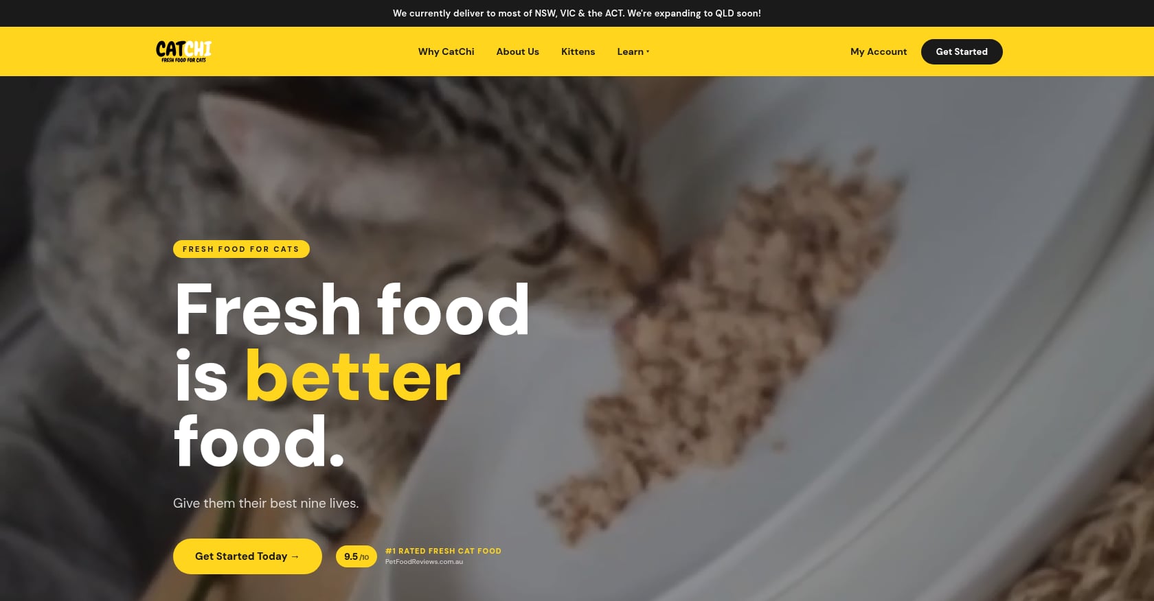 CatChi Screenshot