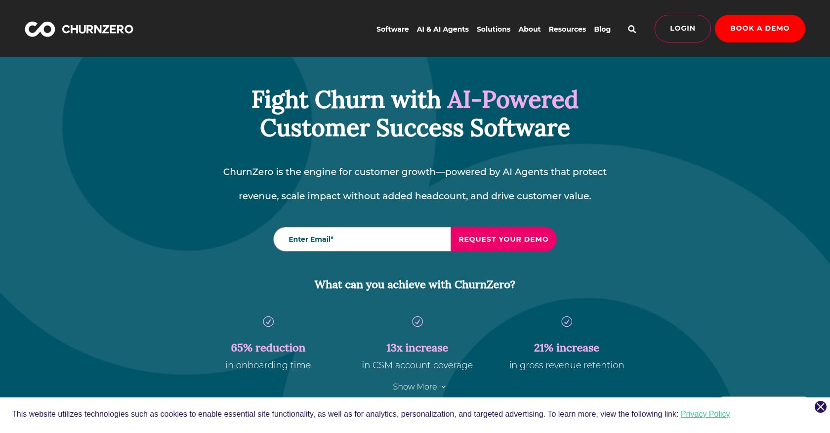 ChurnZero Screenshot