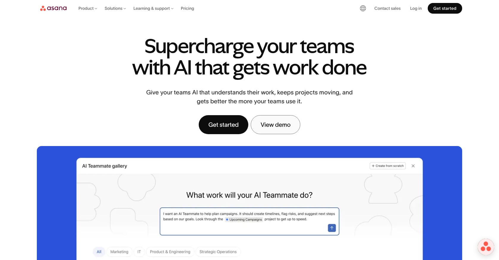 Asana Screenshot