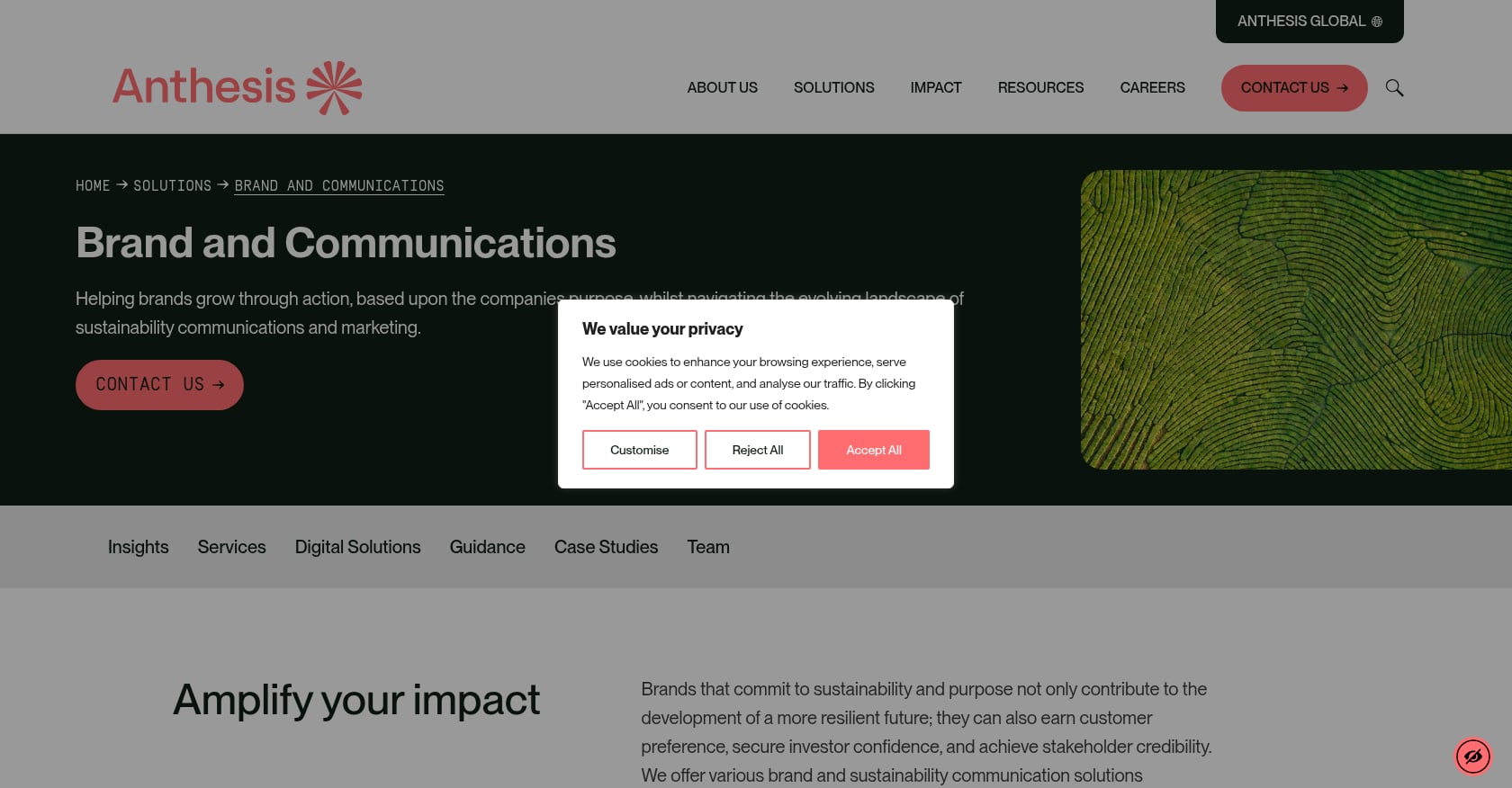 Anthesis Brand & Communications Screenshot