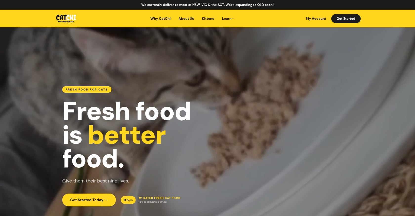 CatChi Screenshot