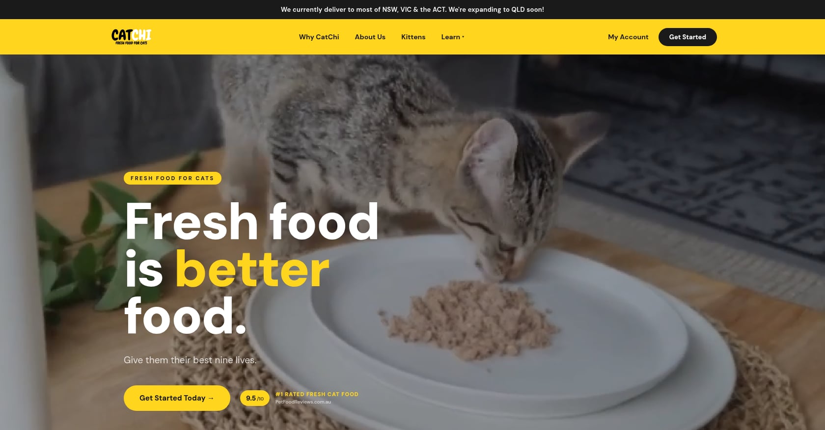 CatChi Screenshot