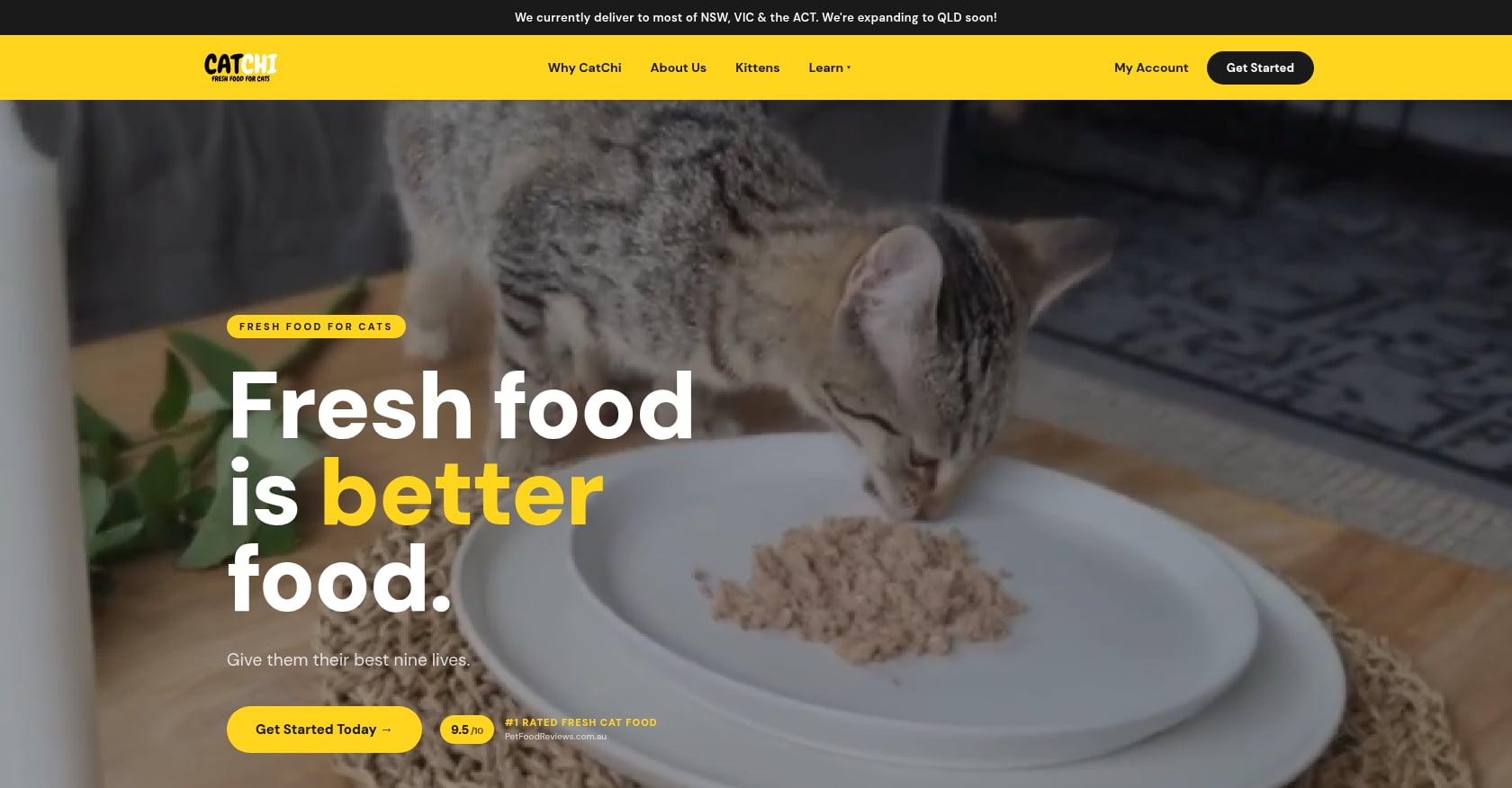 CatChi Screenshot