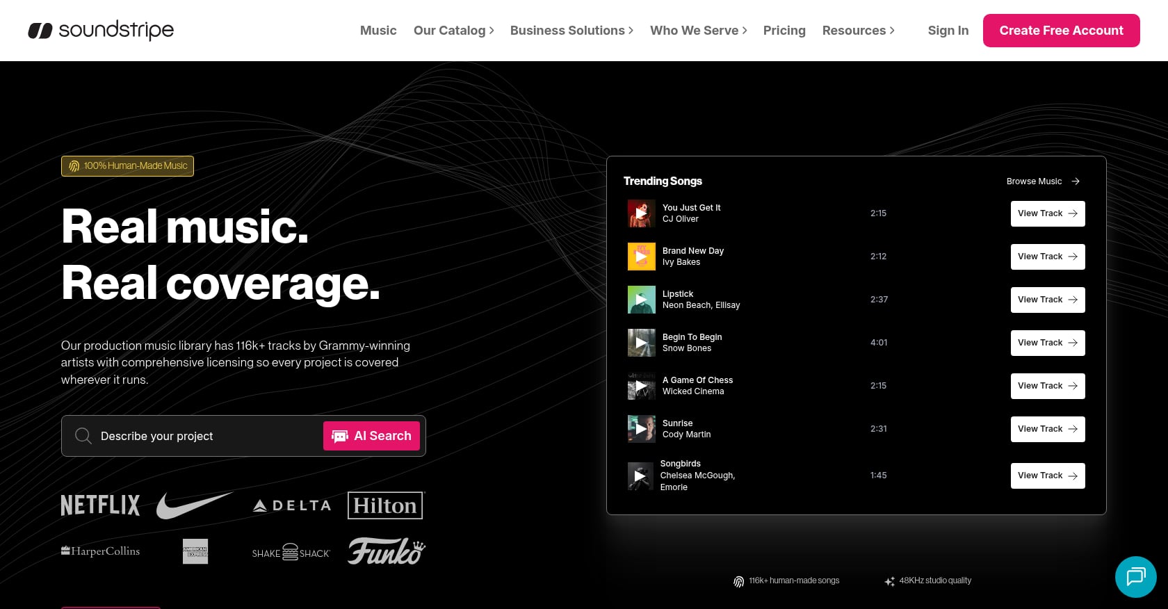 Soundstripe 屏幕截图