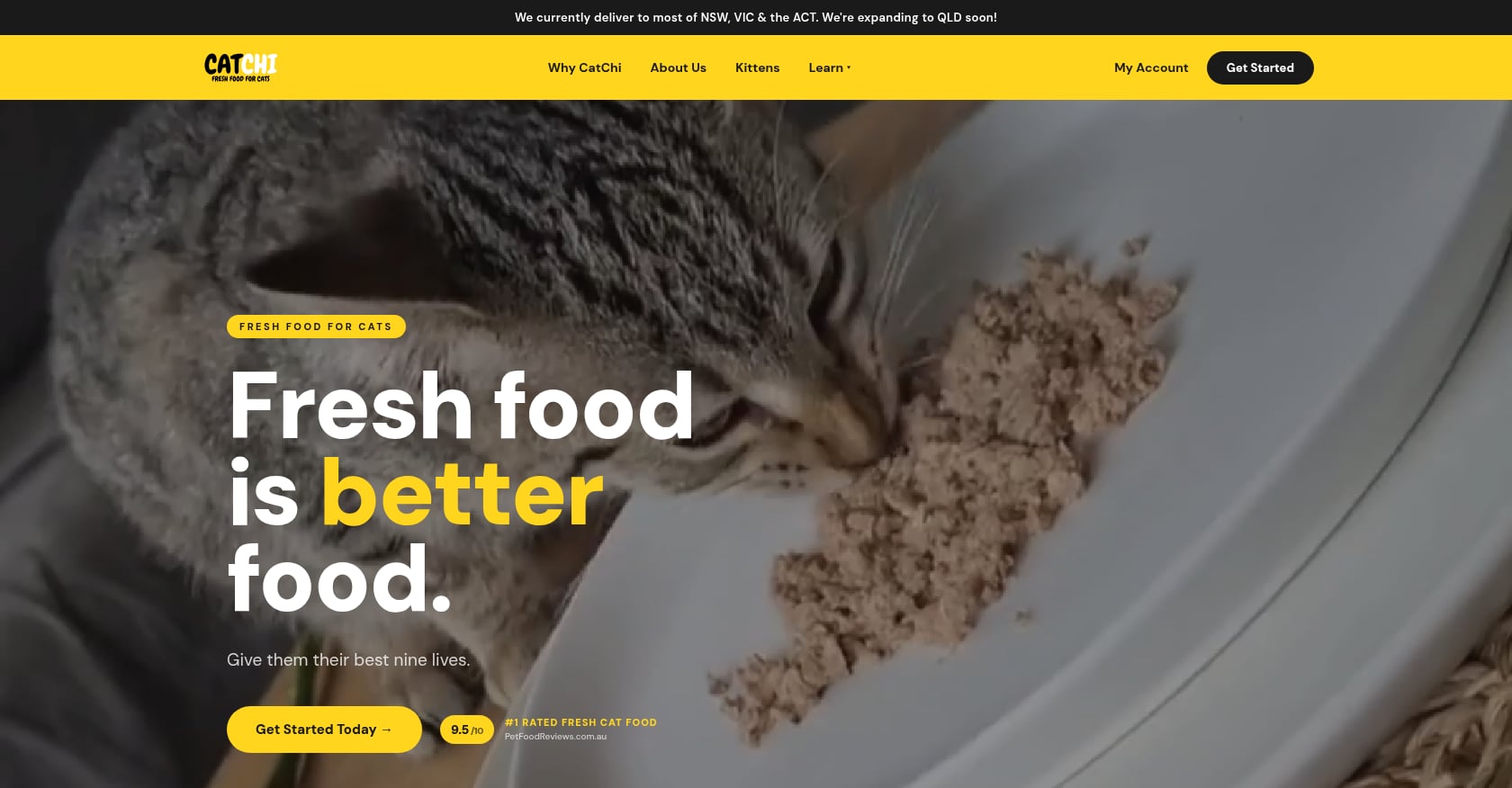 CatChi Screenshot