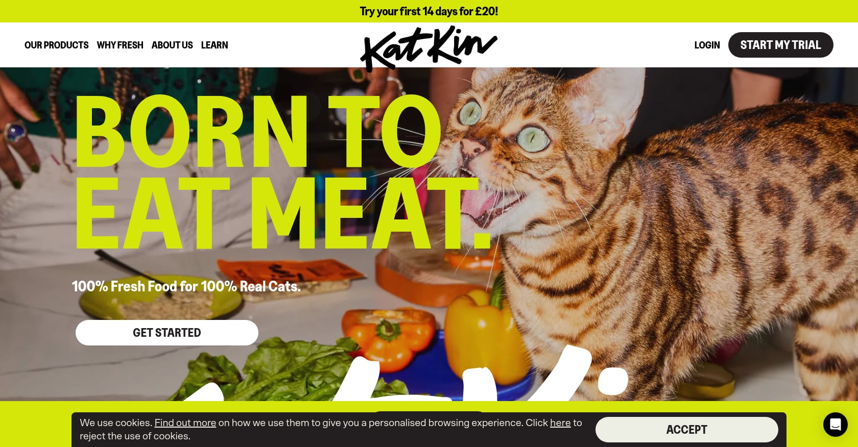 KatKin Screenshot