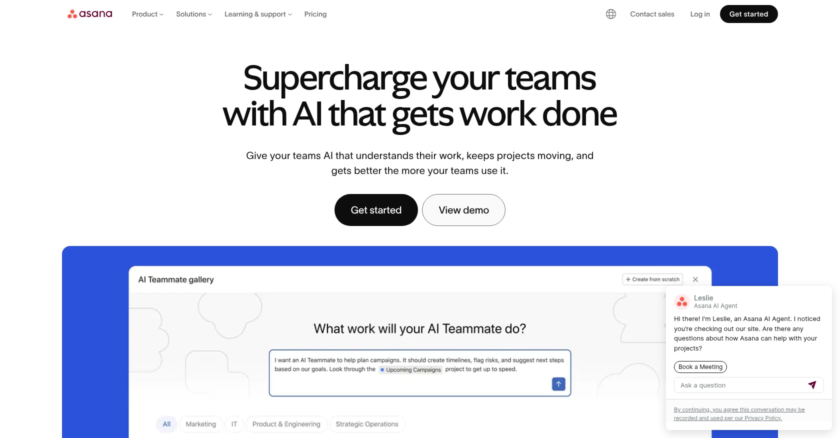 Asana Screenshot
