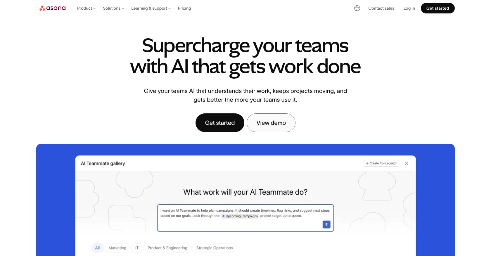 Asana Screenshot