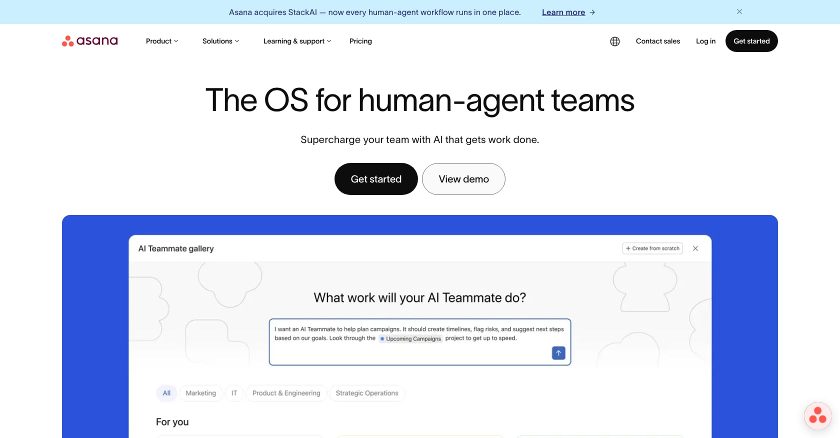 Asana Screenshot