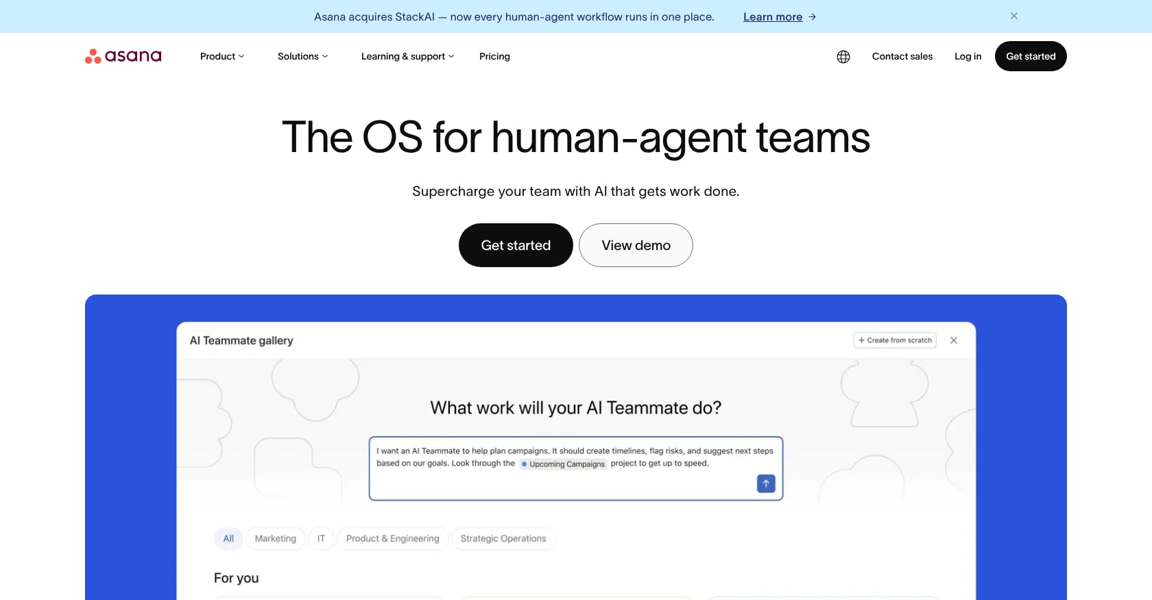 Asana Screenshot