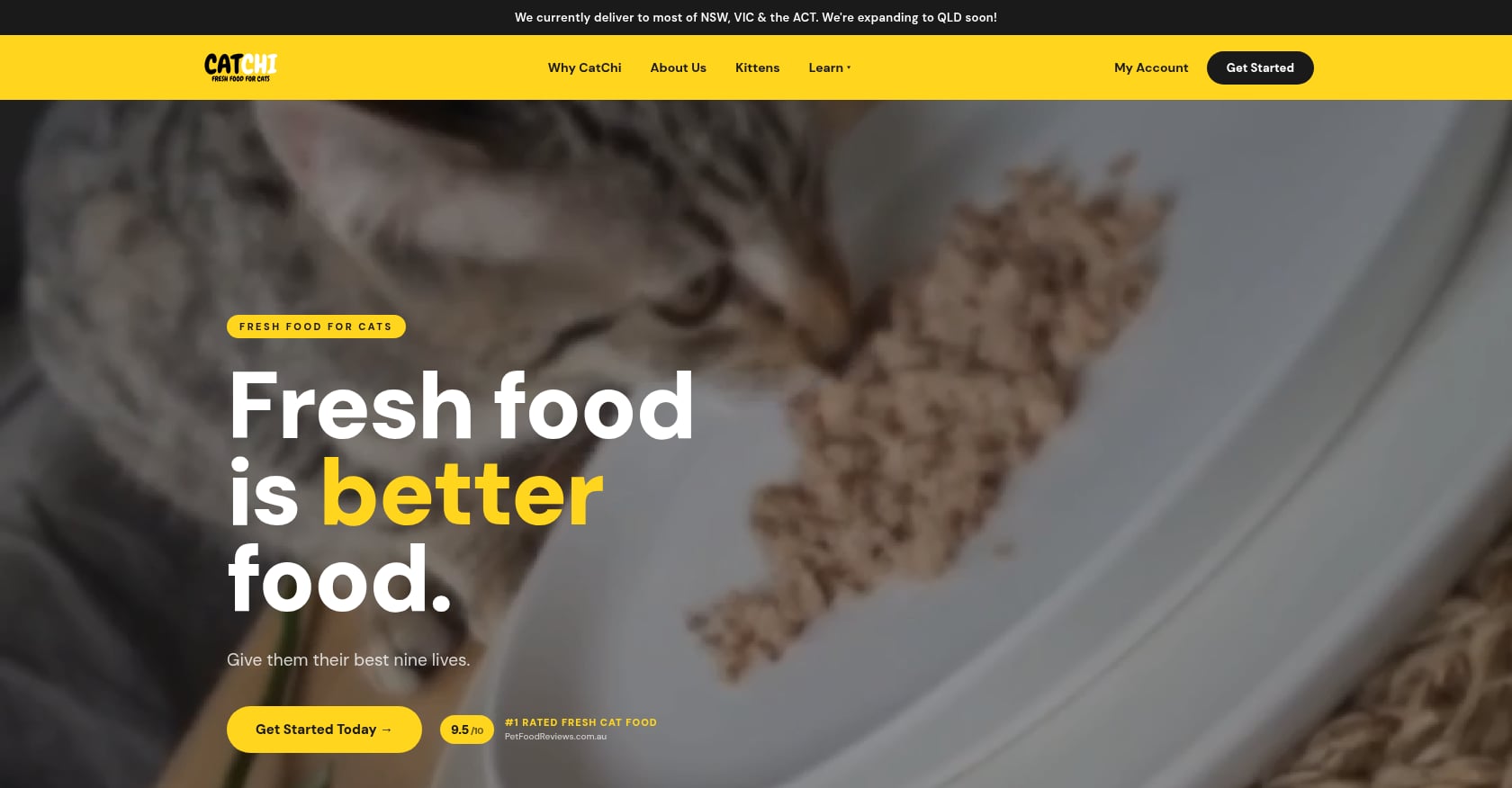 CatChi Screenshot