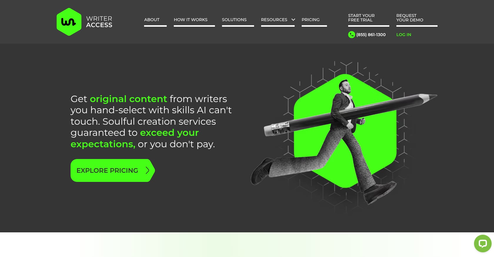 WriterAccess Screenshot