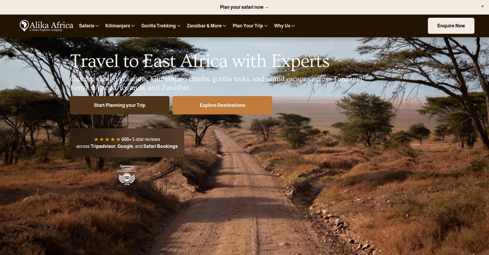 Machame Route Forest Hike Screenshot