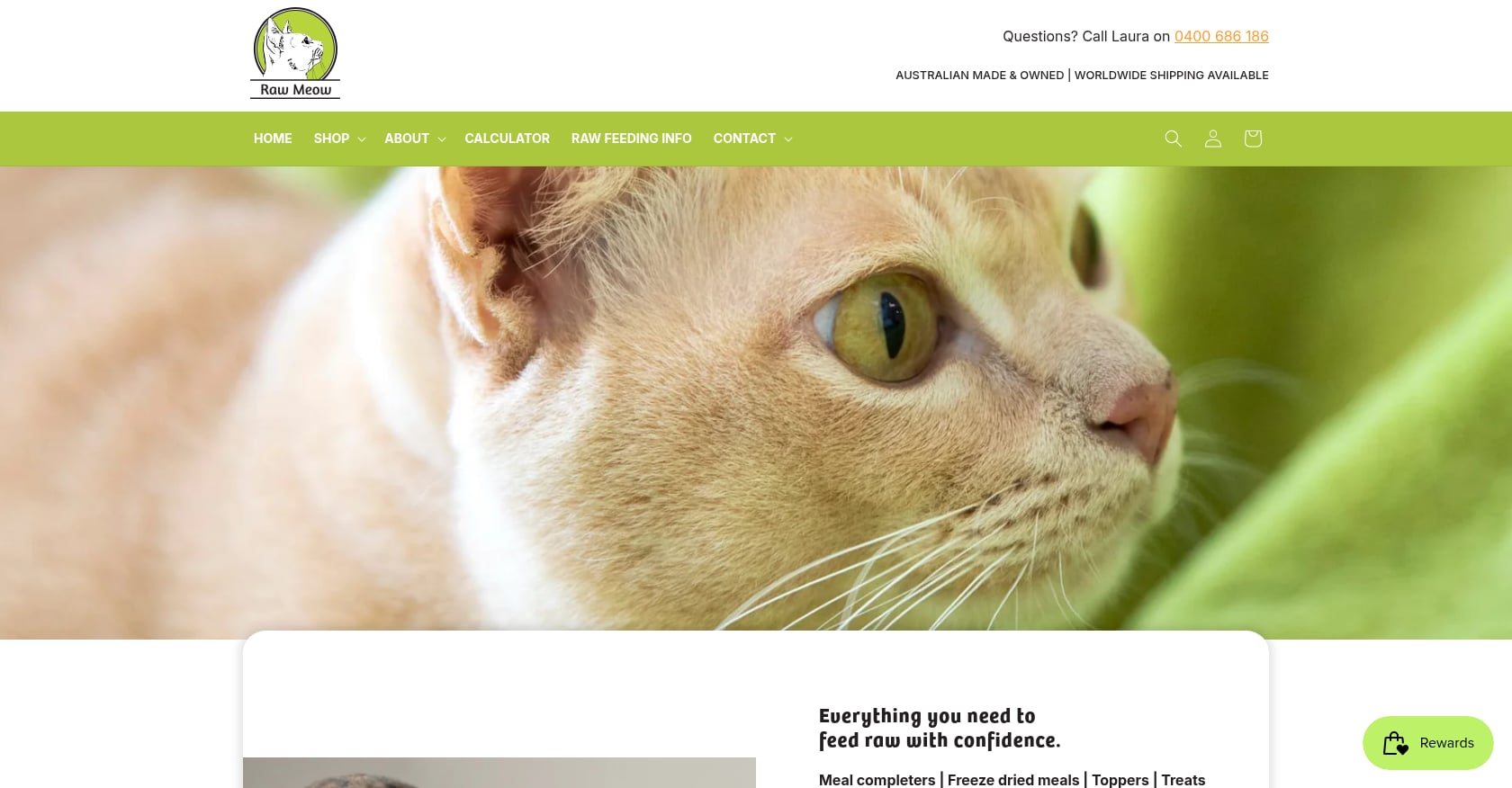 Raw Meow Screenshot