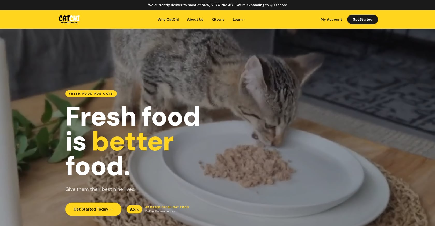 CatChi Screenshot