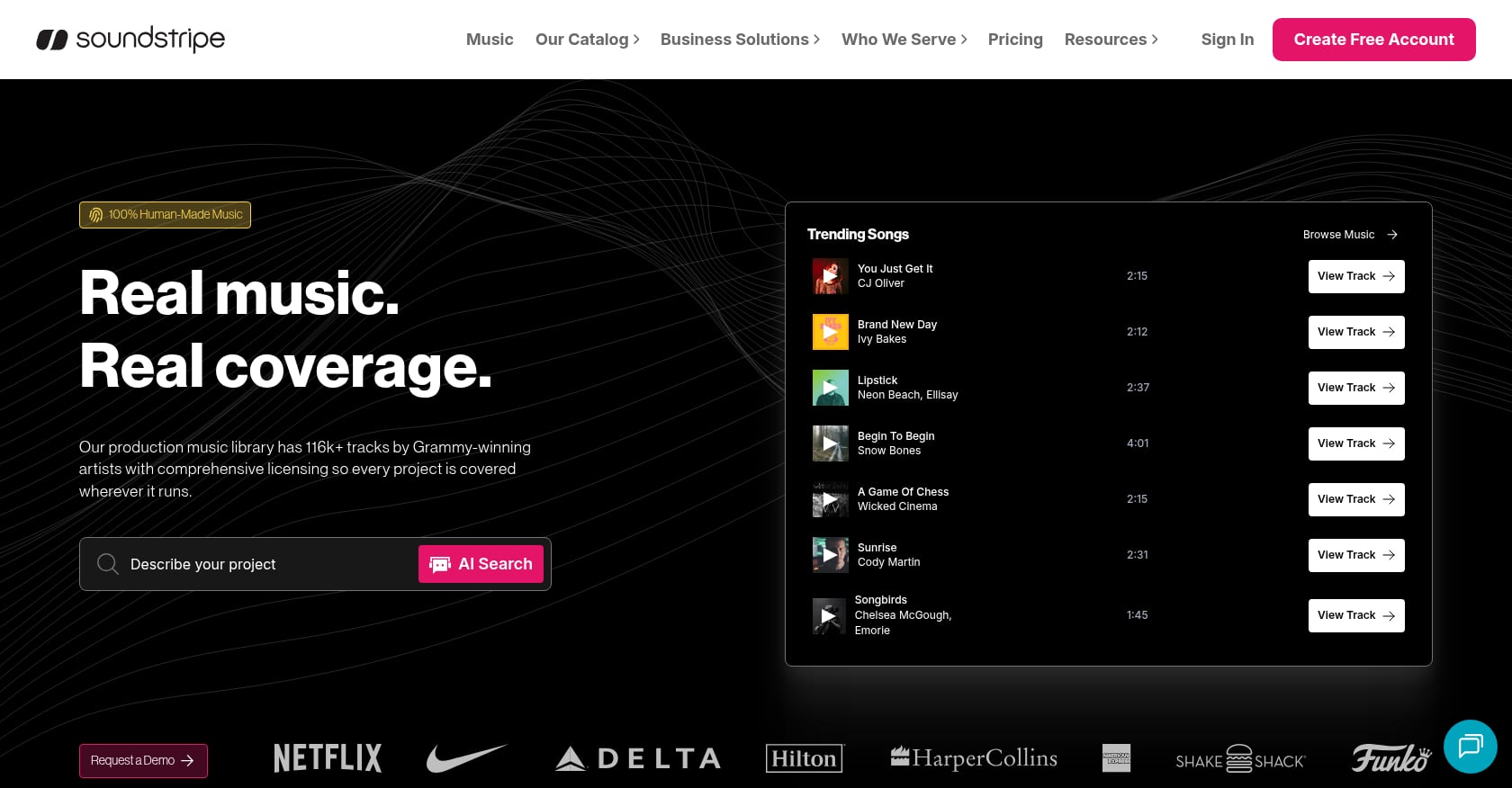 Soundstripe-Screenshot