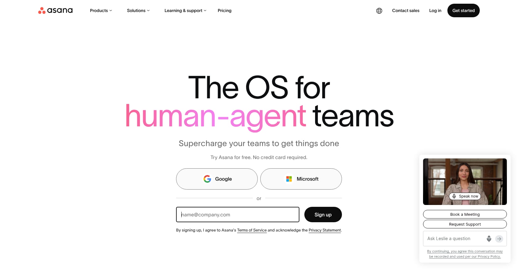 Asana Screenshot