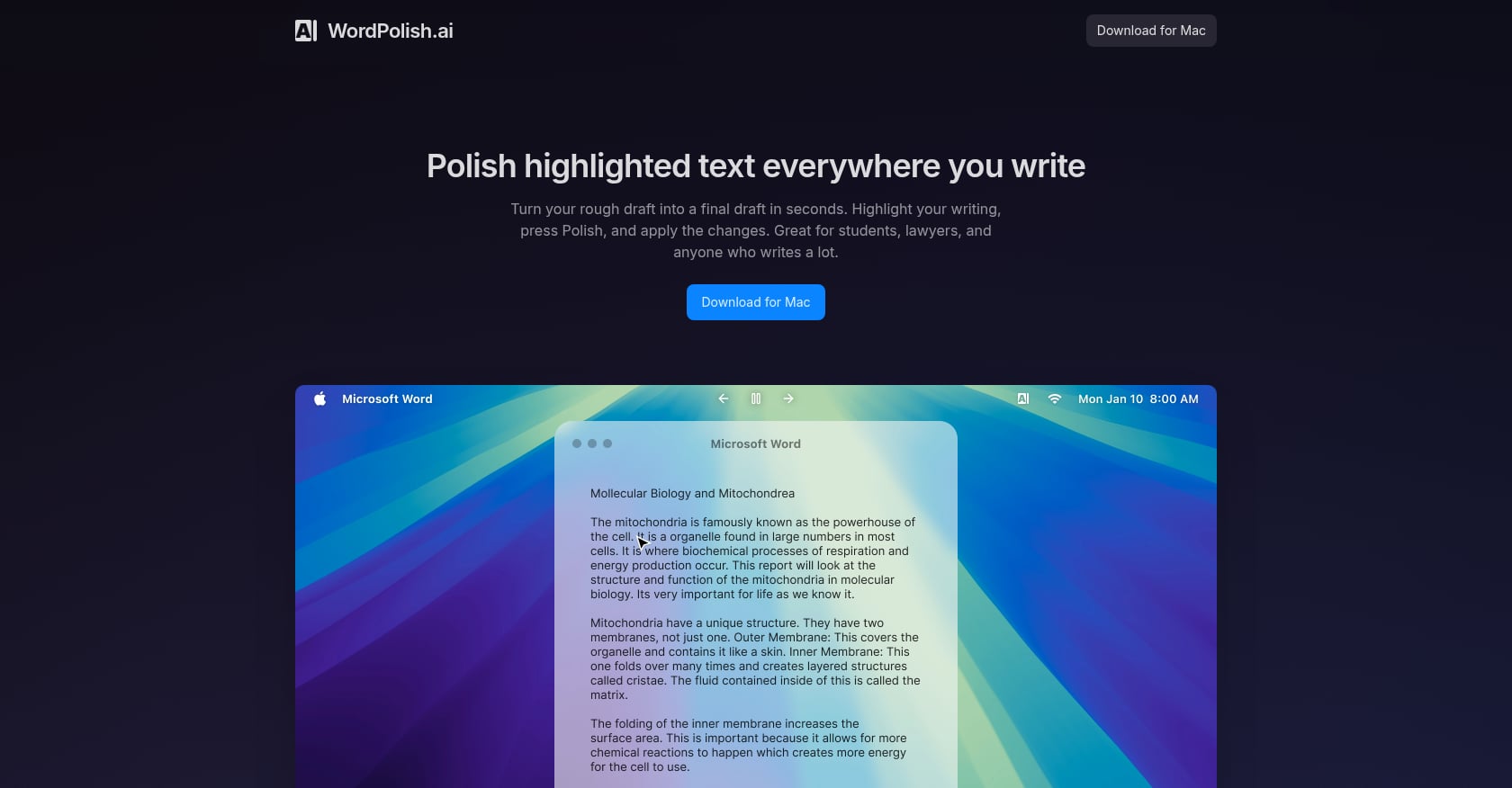 WordPolish.ai Screenshot