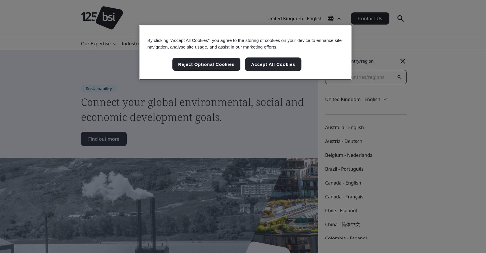 BSI Consulting Screenshot