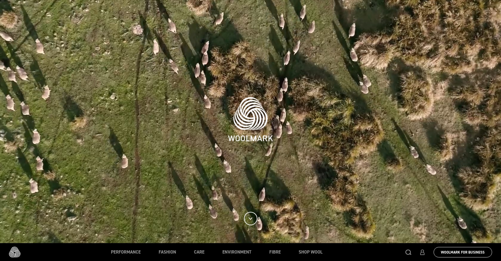 Woolmark, "Wear Wool, Not Fossil Fuel" Screenshot
