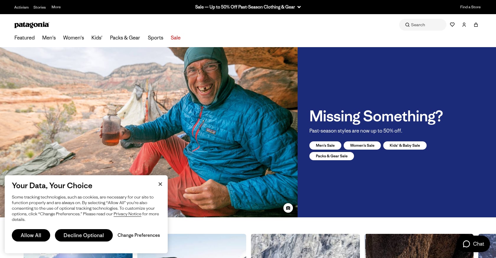 Patagonia, "Don't Buy This Jacket" Screenshot