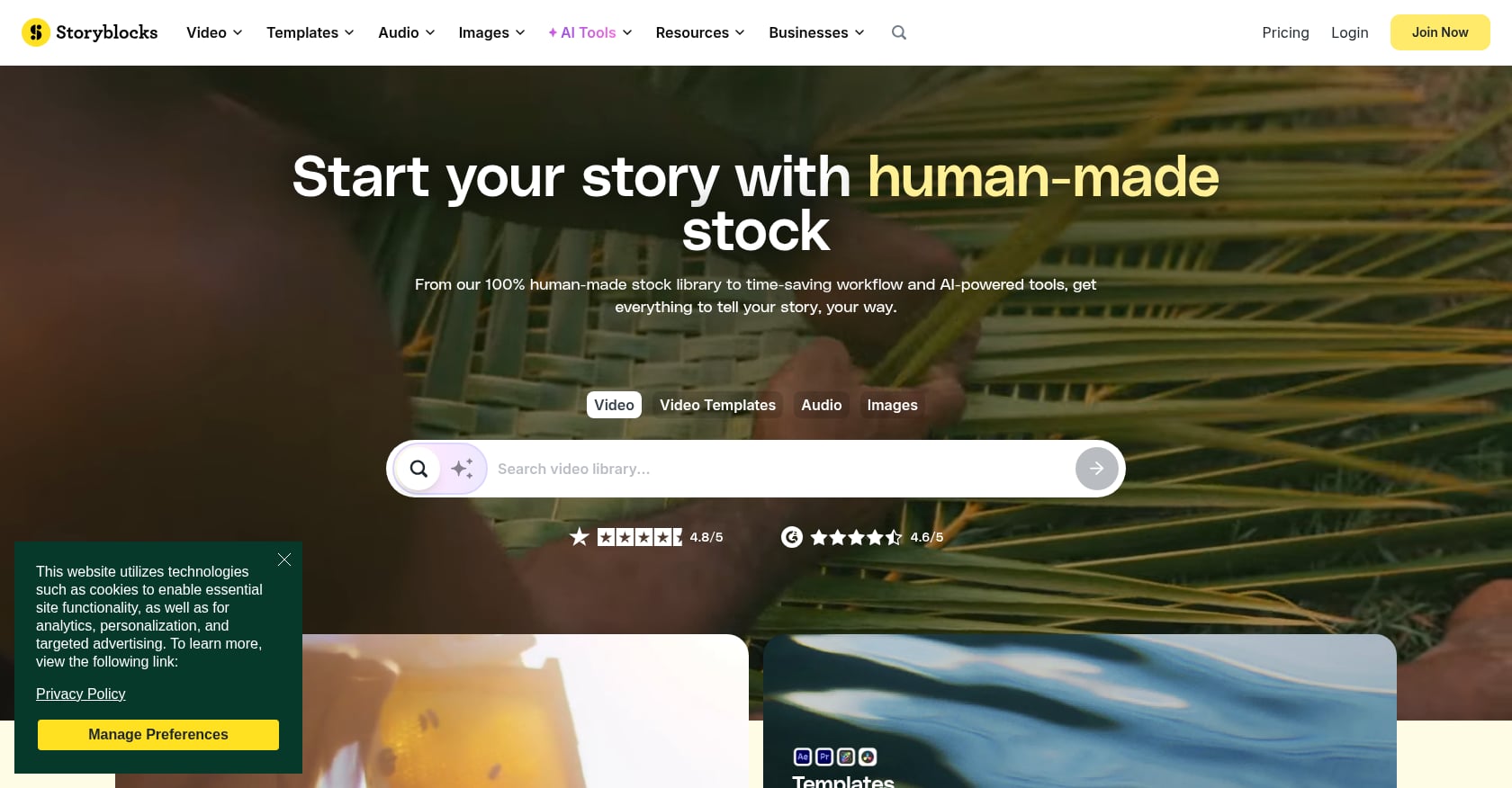 Storyblocks 截图
