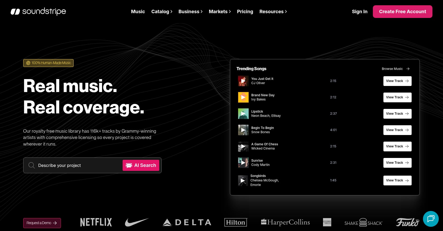 Soundstripe Screenshot