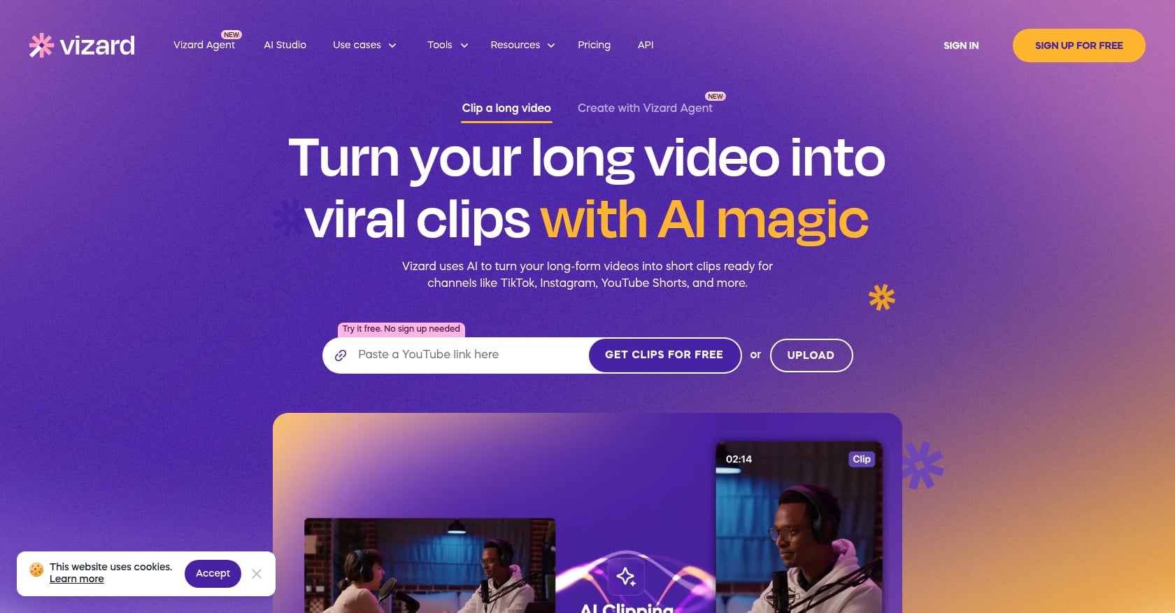 Vizard Screenshot