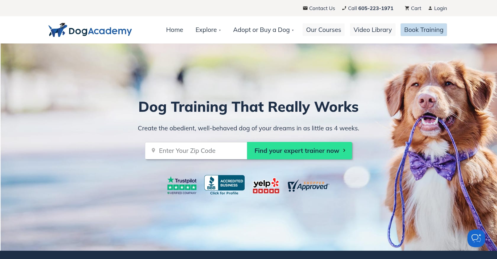 Dog Academy Screenshot