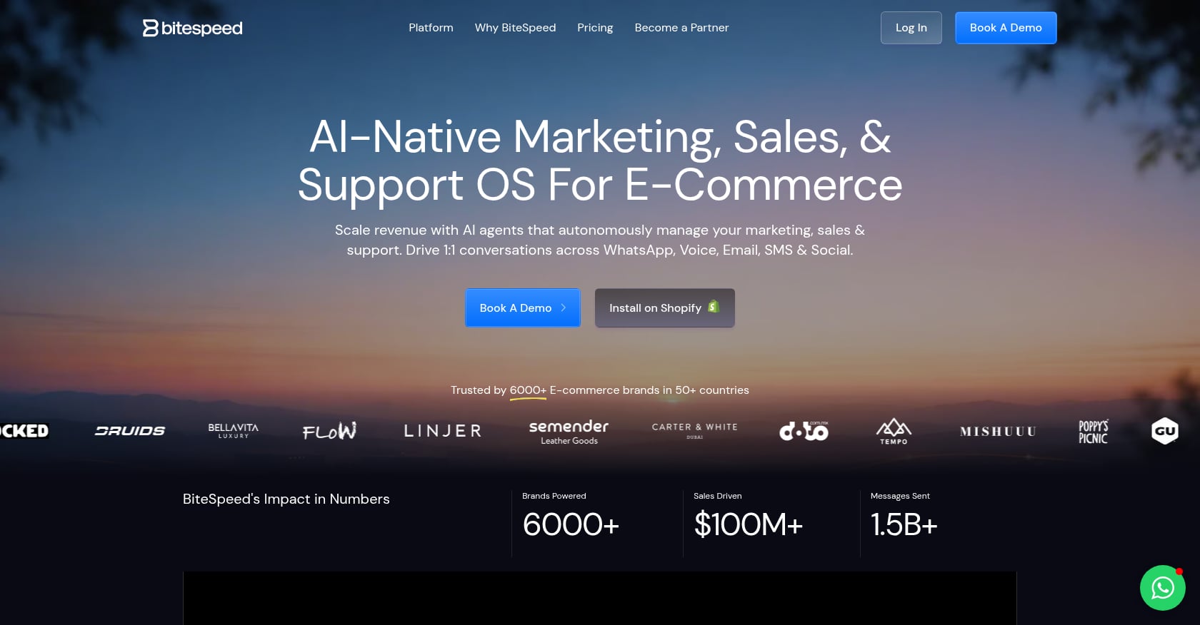 BiteSpeed Screenshot